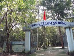 Collection of forest trees in Binh Chau primeval forest