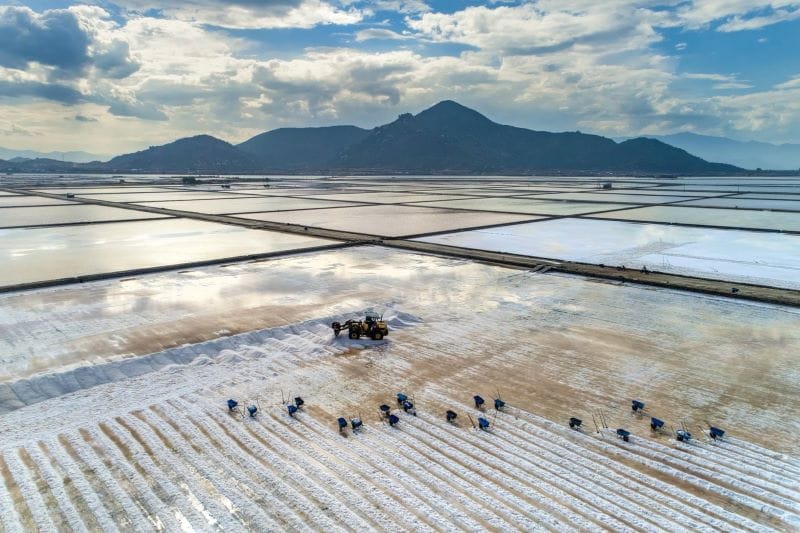 Dam Vua salt fields