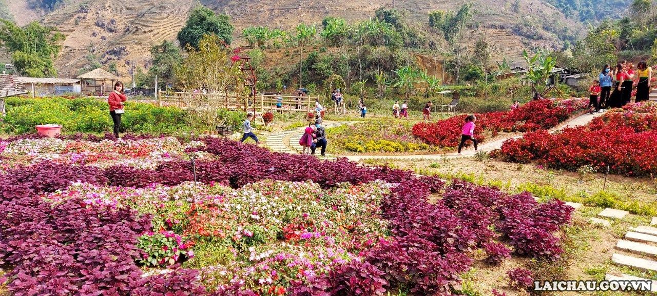 刚来到Ban Tham，游客就会沉浸在色彩缤纷的花朵中。