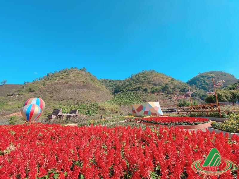 Mộc Châu Happy Land.