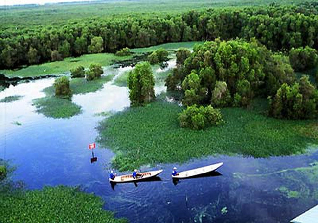 U Minh Ha Forest