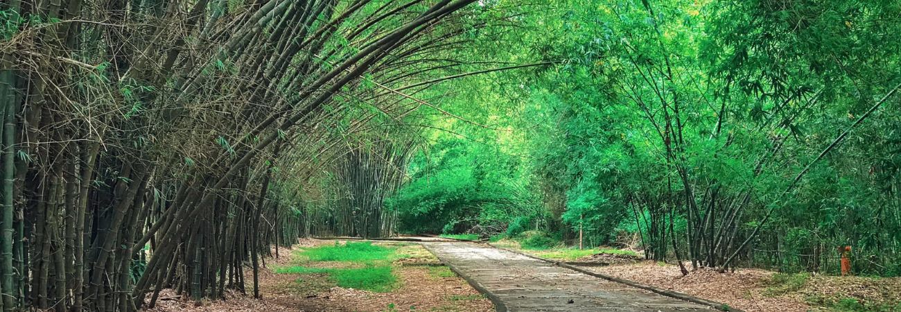 Phu An Bamboo Village - a virtual living spot right next to Saigon