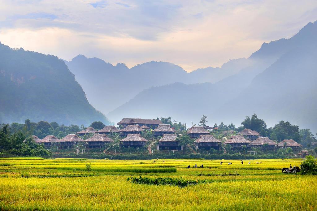 Mai Chau in the ripe rice season