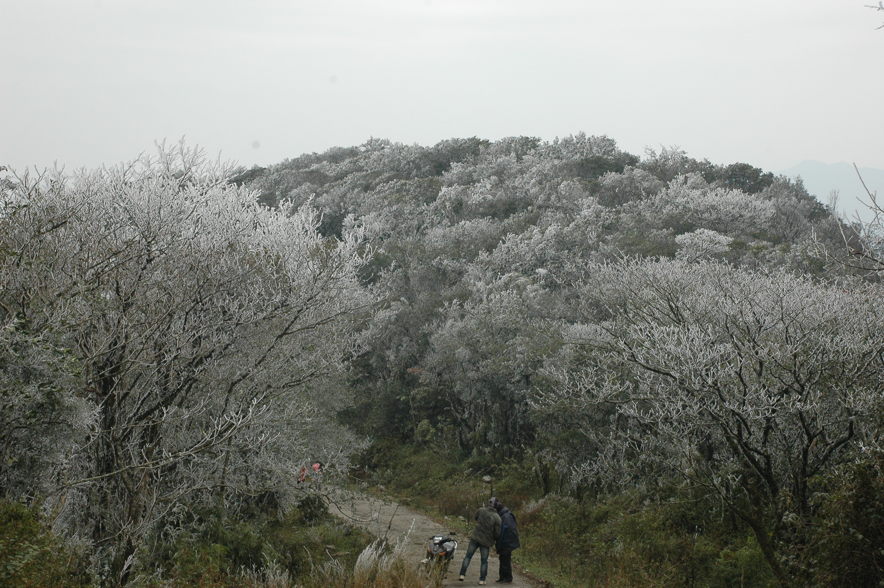 Phia Oac National Park - Phia Den