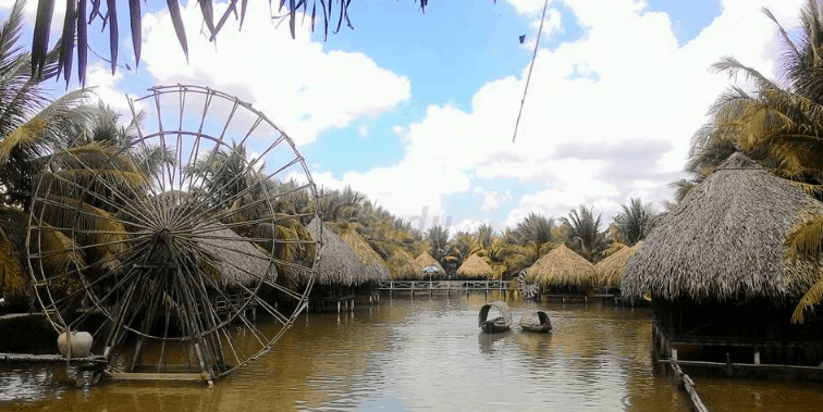 The beauty of Hoa water lily eco-area