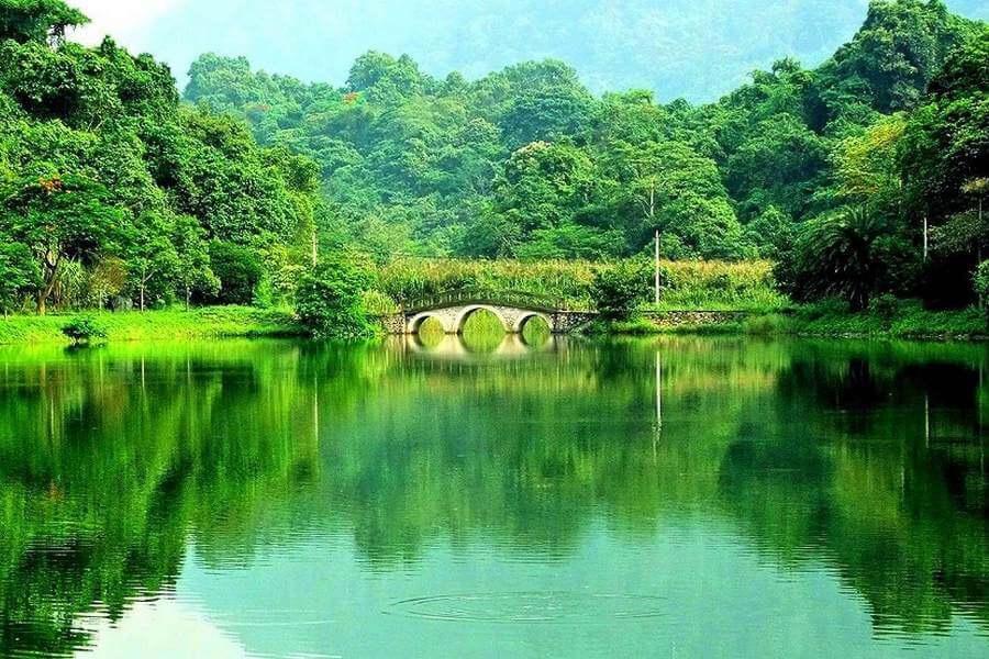 God-given treasure in Asia's most beautiful Cuc Phuong National Park