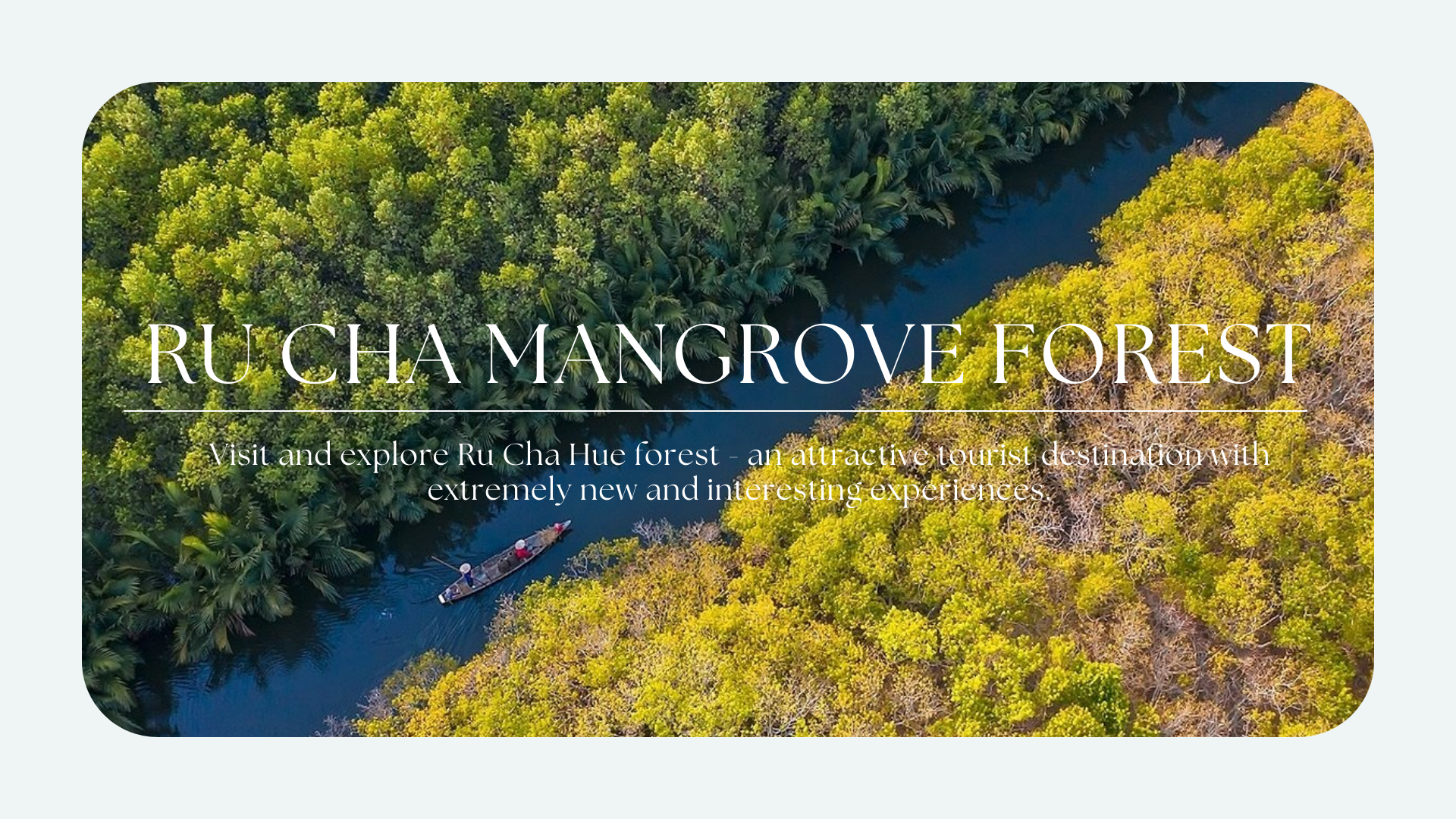 About Ru Cha Mangrove Forest, Walking Among The Green Lungs In The Heart Of Hue