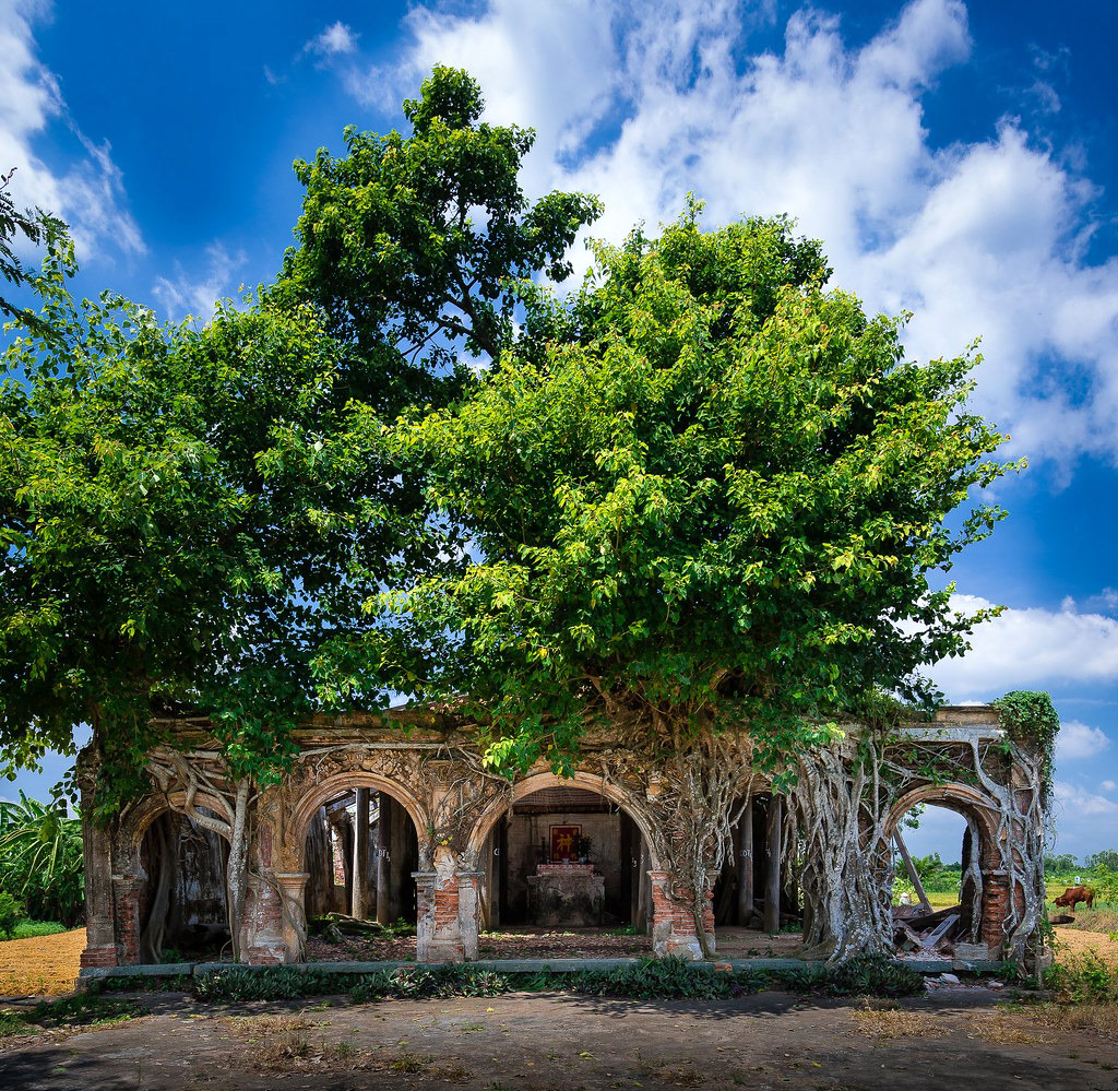 Tan Dong Communal House: A Unique Architectural Marvel Embraced by Bodhi Trees