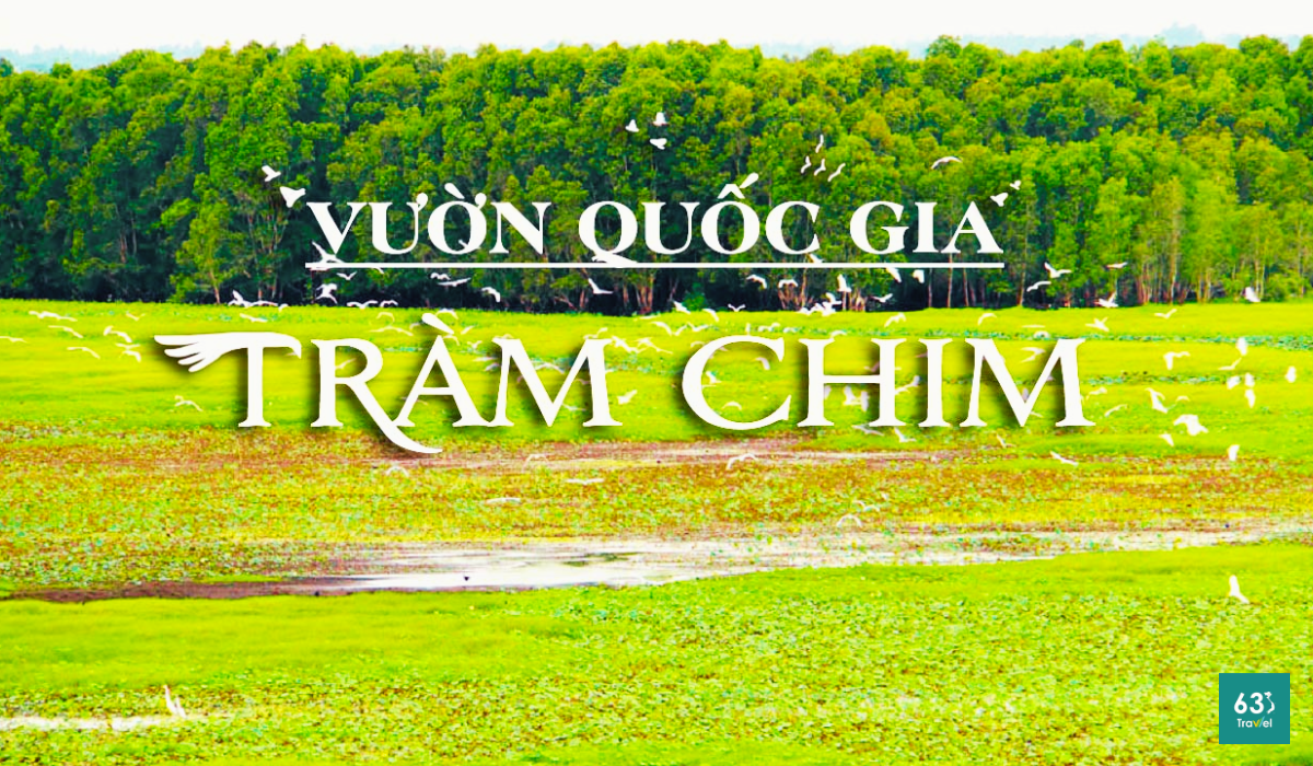 Khám phá vẻ đẹp thiên nhiên tại Vườn quốc gia Tràm Chim - Đồng Tháp