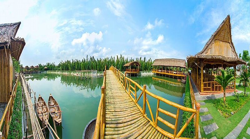 Seven-acre coconut forest