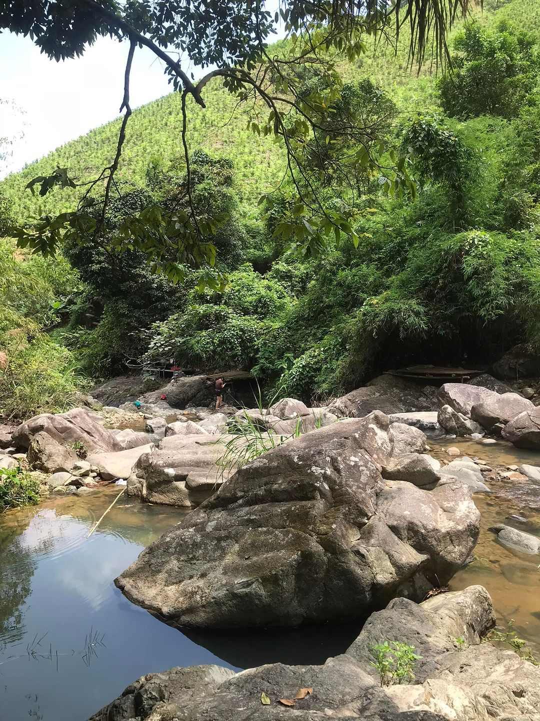 水是如此清澈，可以看到底部