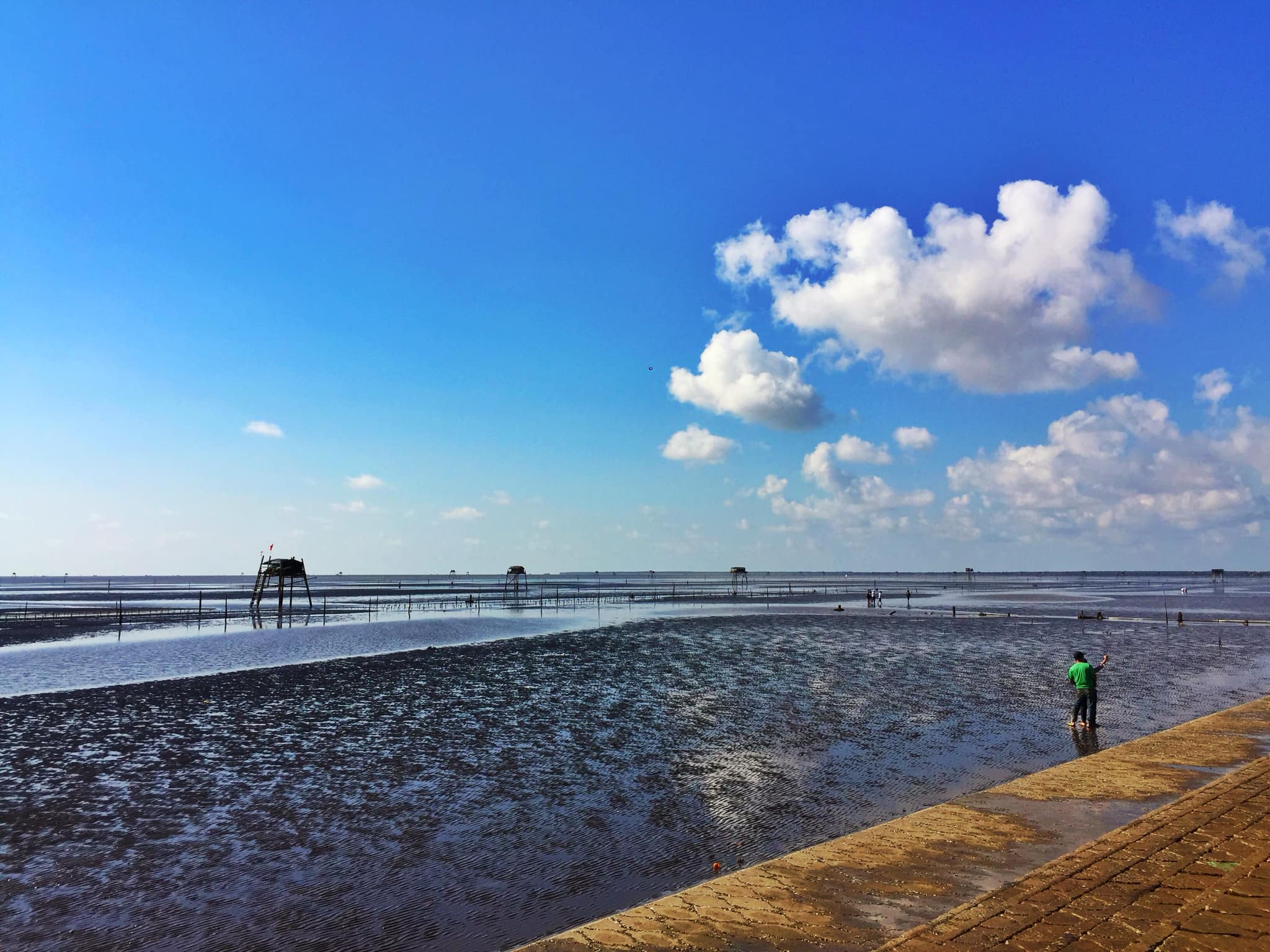 Discover the Enigmatic Beauty of Tan Thanh Beach: A Hidden Gem in Tien Giang