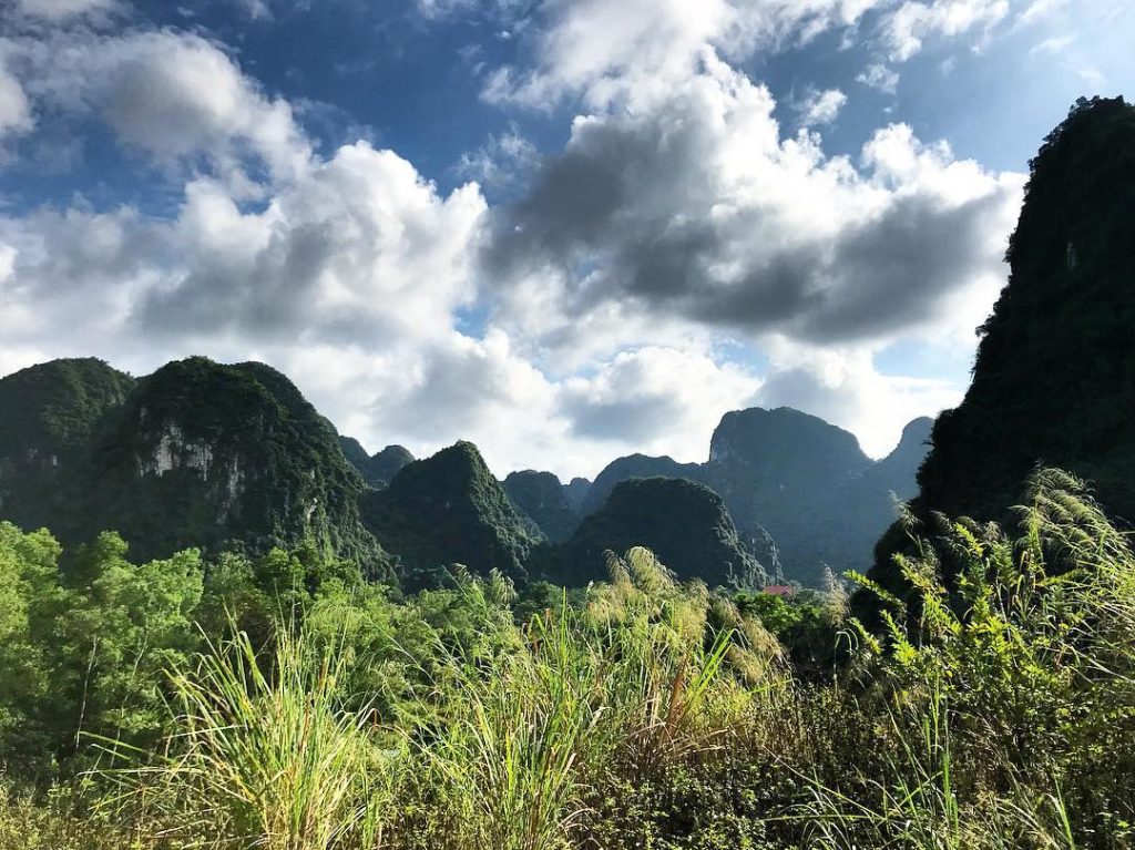 Explore the ecosystem in Cat Ba National Forest