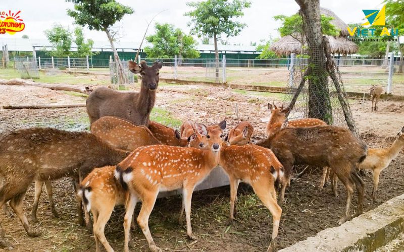 私のクイン動物園