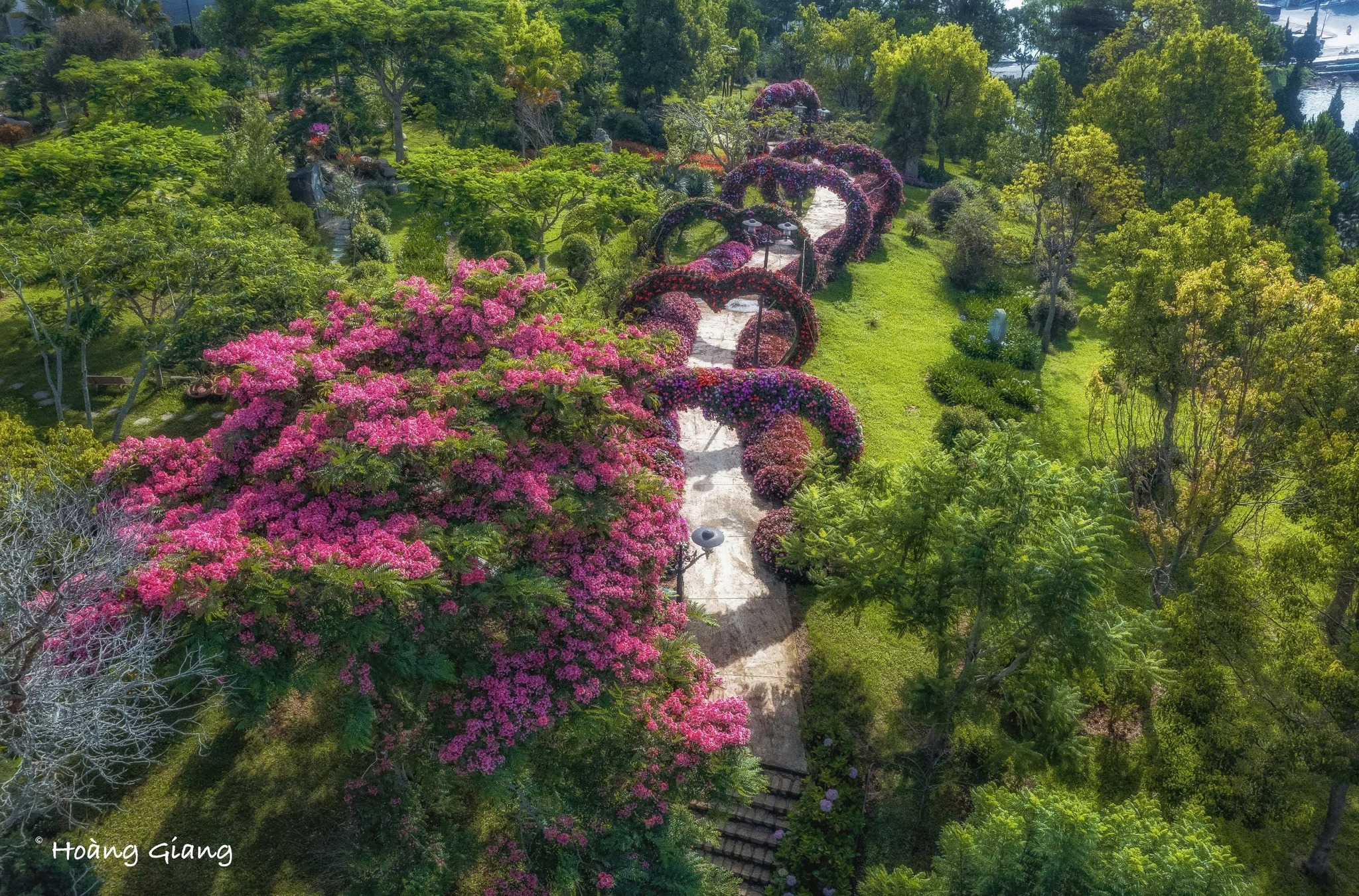 Dalat City Flower Garden