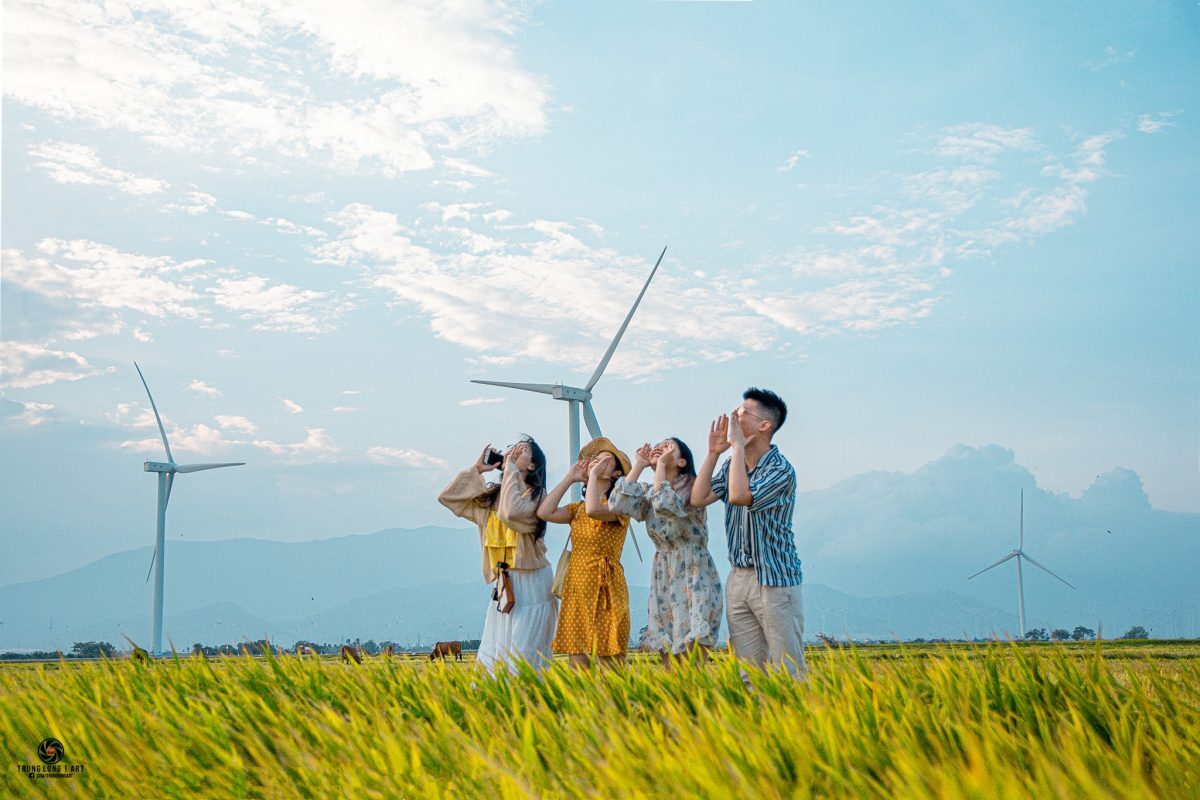 During the golden ripe rice season, Dam Nai Wind Power Field seems to be wearing a new, brighter and more dazzling outfit.