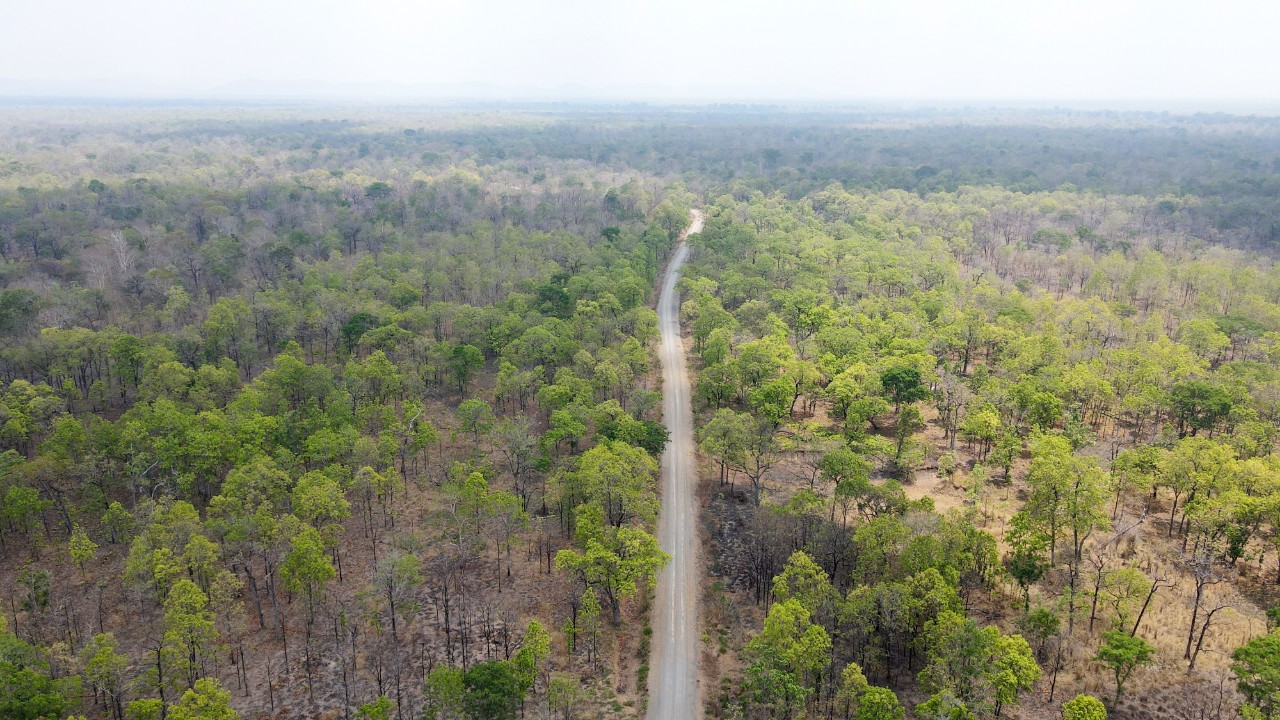 Yok Don National Park