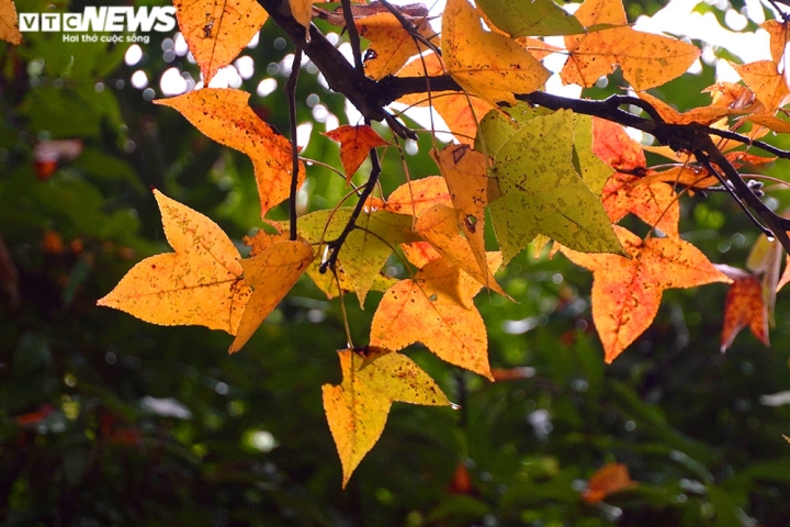 How beautiful is the season when trees change leaves