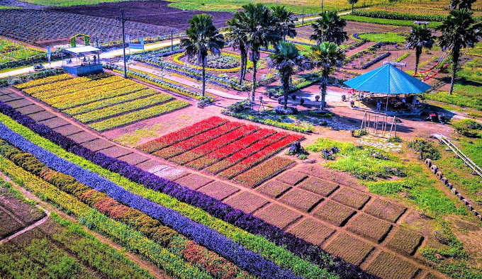 Khai Trung 是安沛地 (Yen Bai land) 的著名目的地