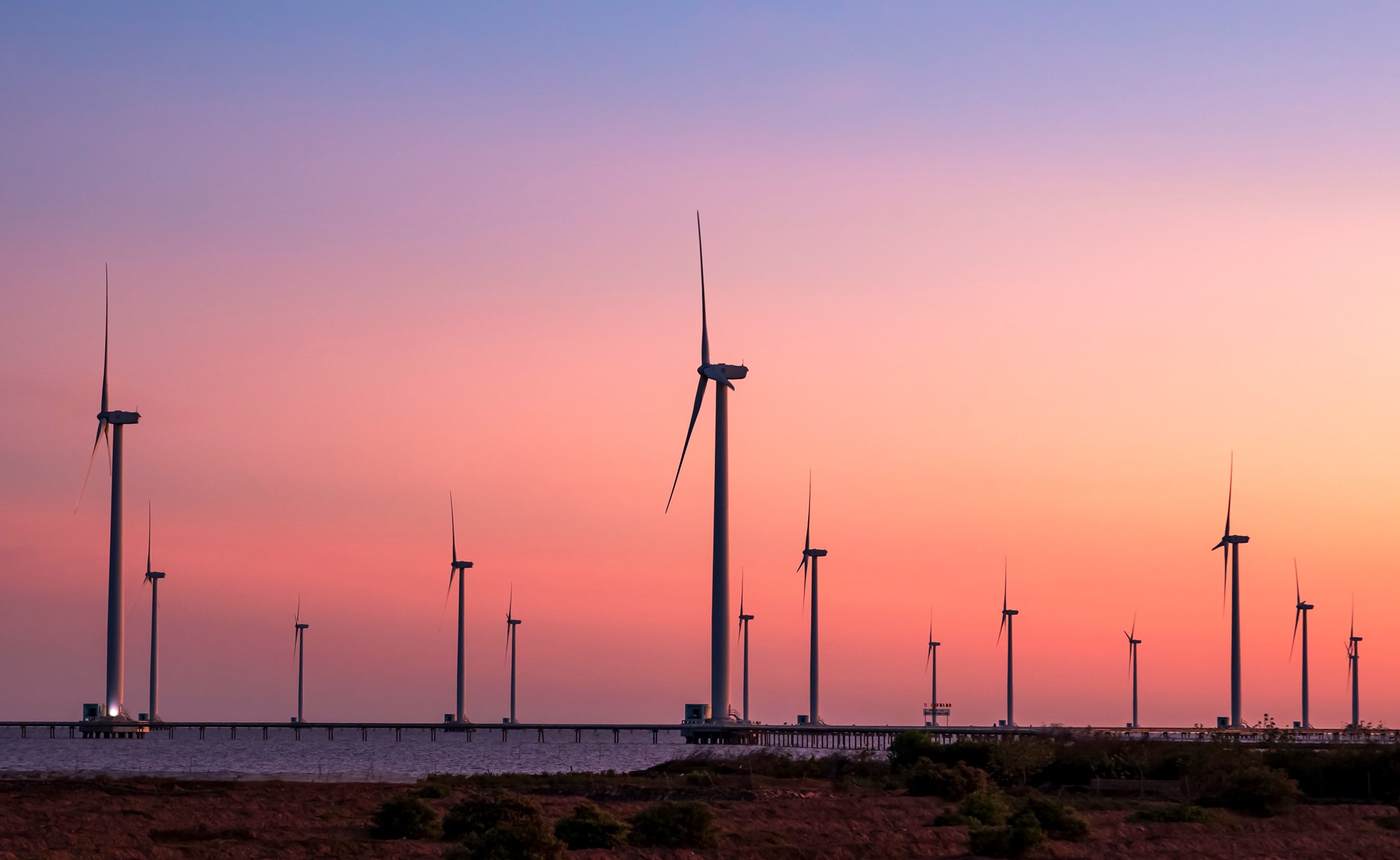 Bac Lieu wind turbine field