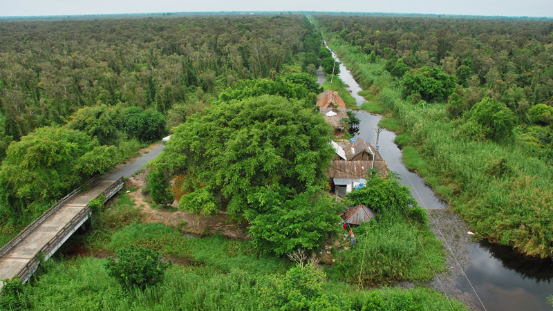 U Minh Ha Forest