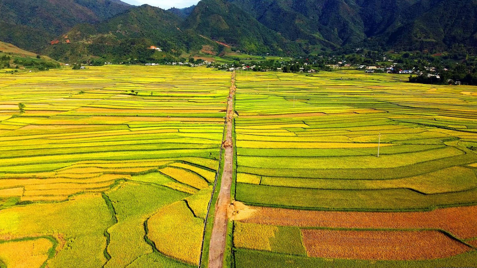 Cánh Đồng Mường Than