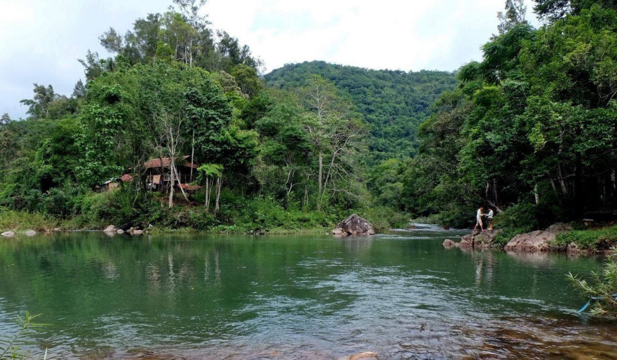 Rừng nguyên sinh Khe Rỗ