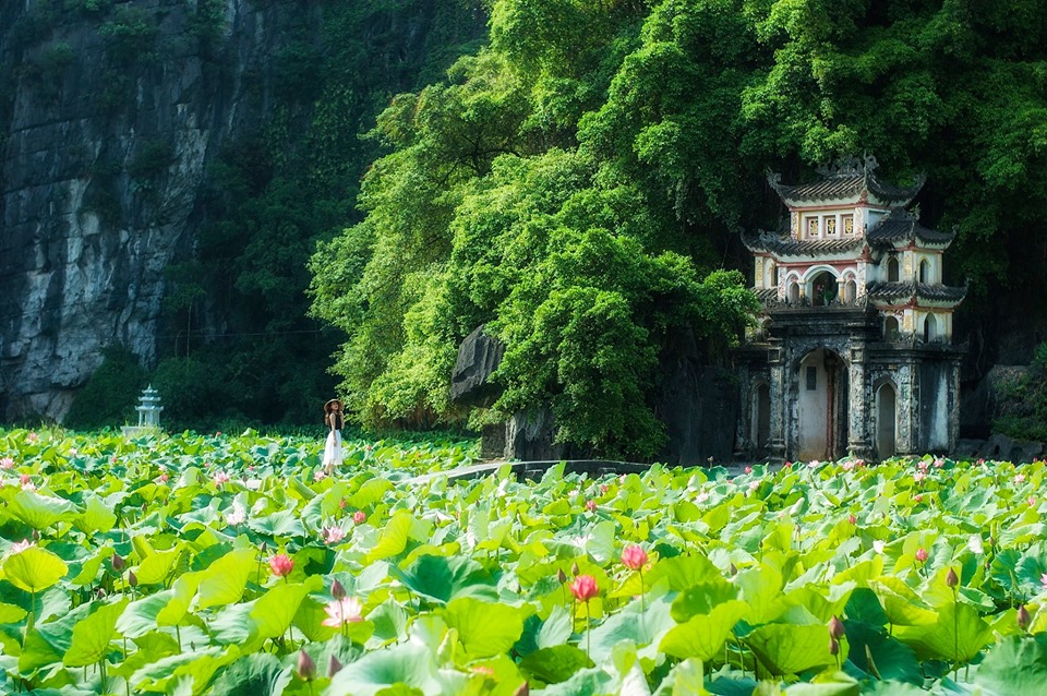 碧洞寺