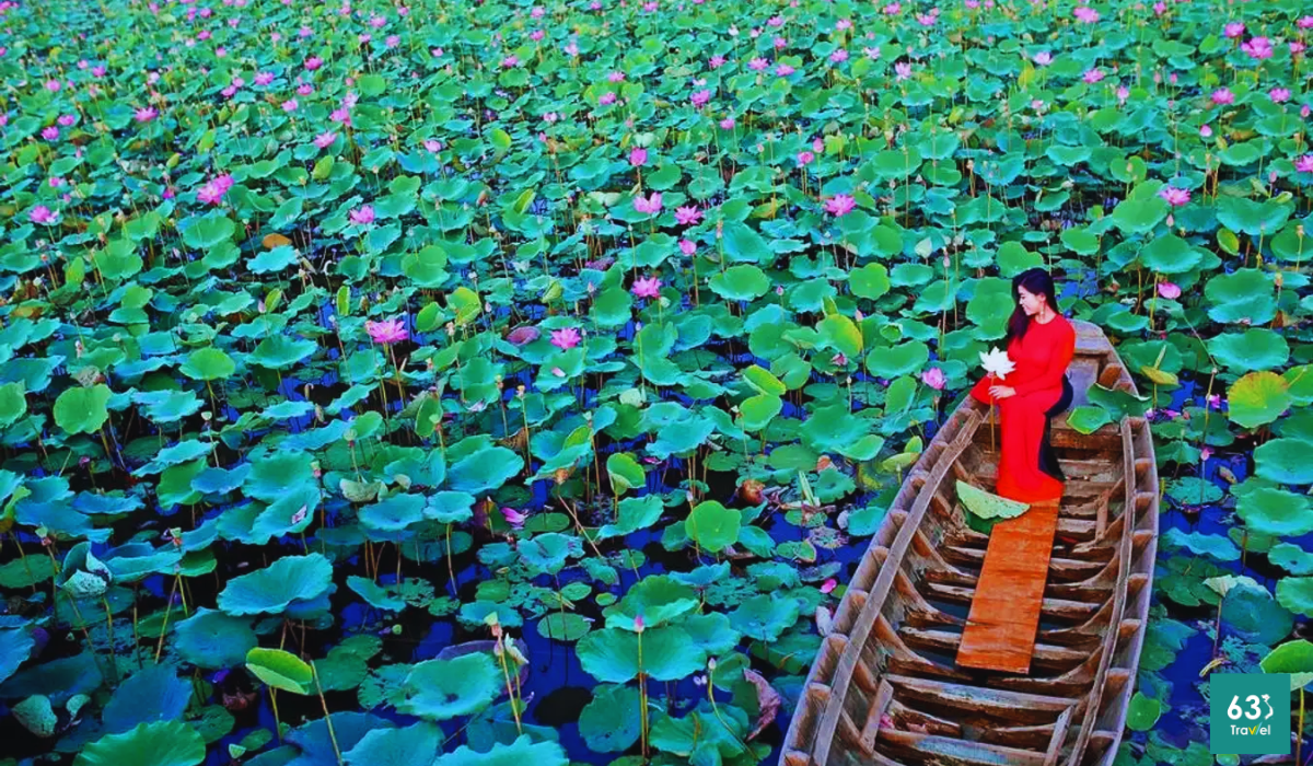 Bát ngát cảnh sắc miền quê tại khu du lịch sinh thái đồng sen Tháp Mười