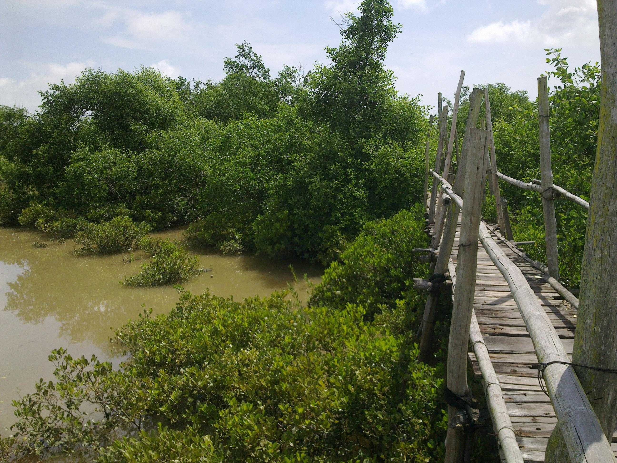 khu du lịch sinh thái Cồn Đen