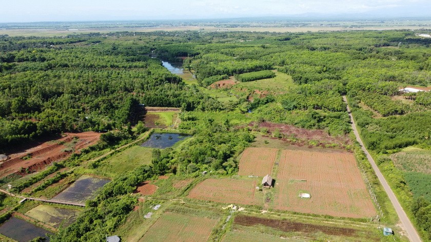 Ru Linh primeval forest