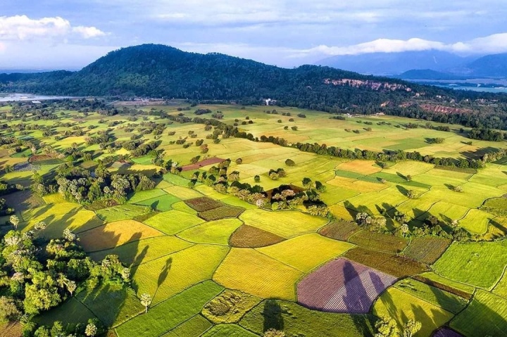 Cánh đồng Tà Pạ