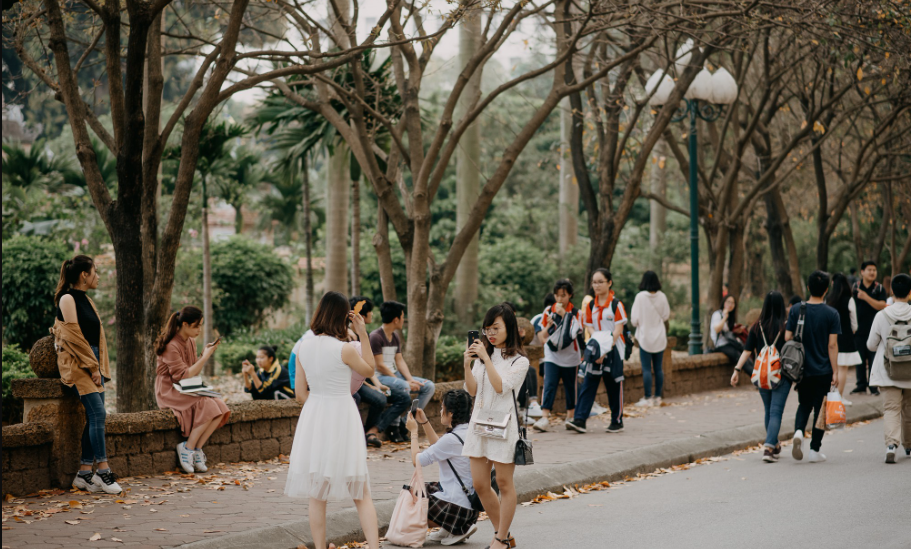 Giới trẻ check-in 'con đường lá vàng' ở Đại học Sư phạm Hà Nội