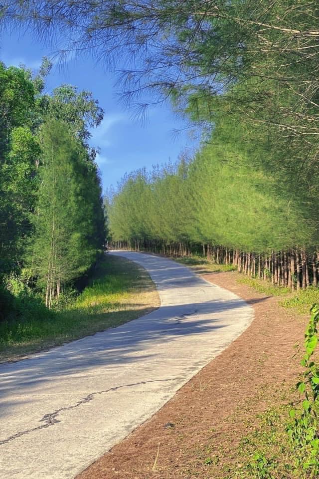 Beautiful road to Bai Dong