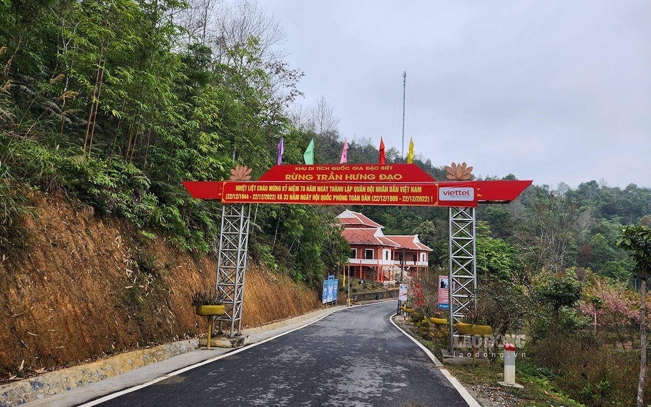 The road to Tran Hung Dao Forest Special National Monument.