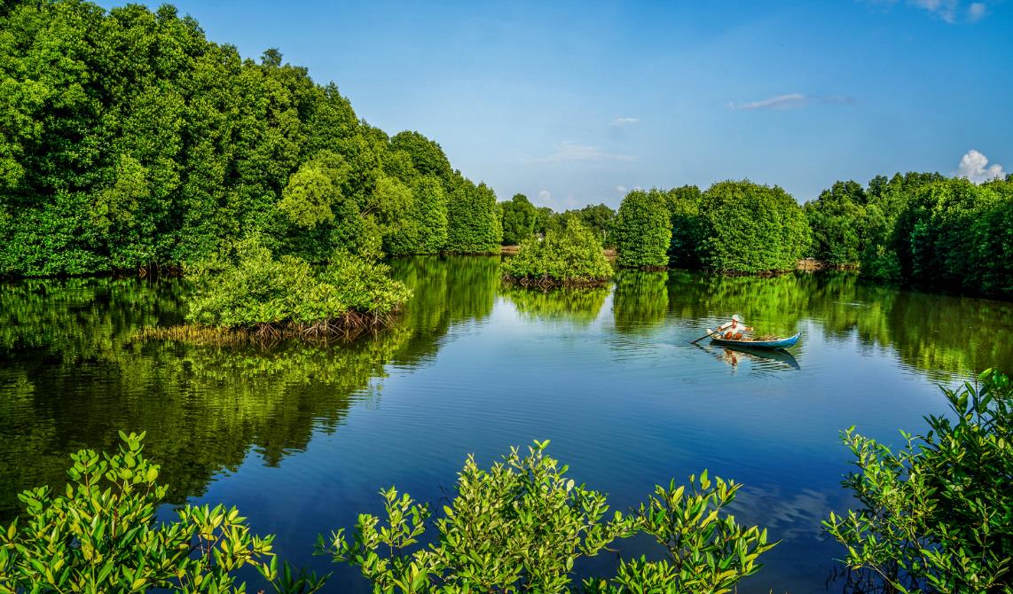 Lost in the mysterious land of Nam Can mangrove forest