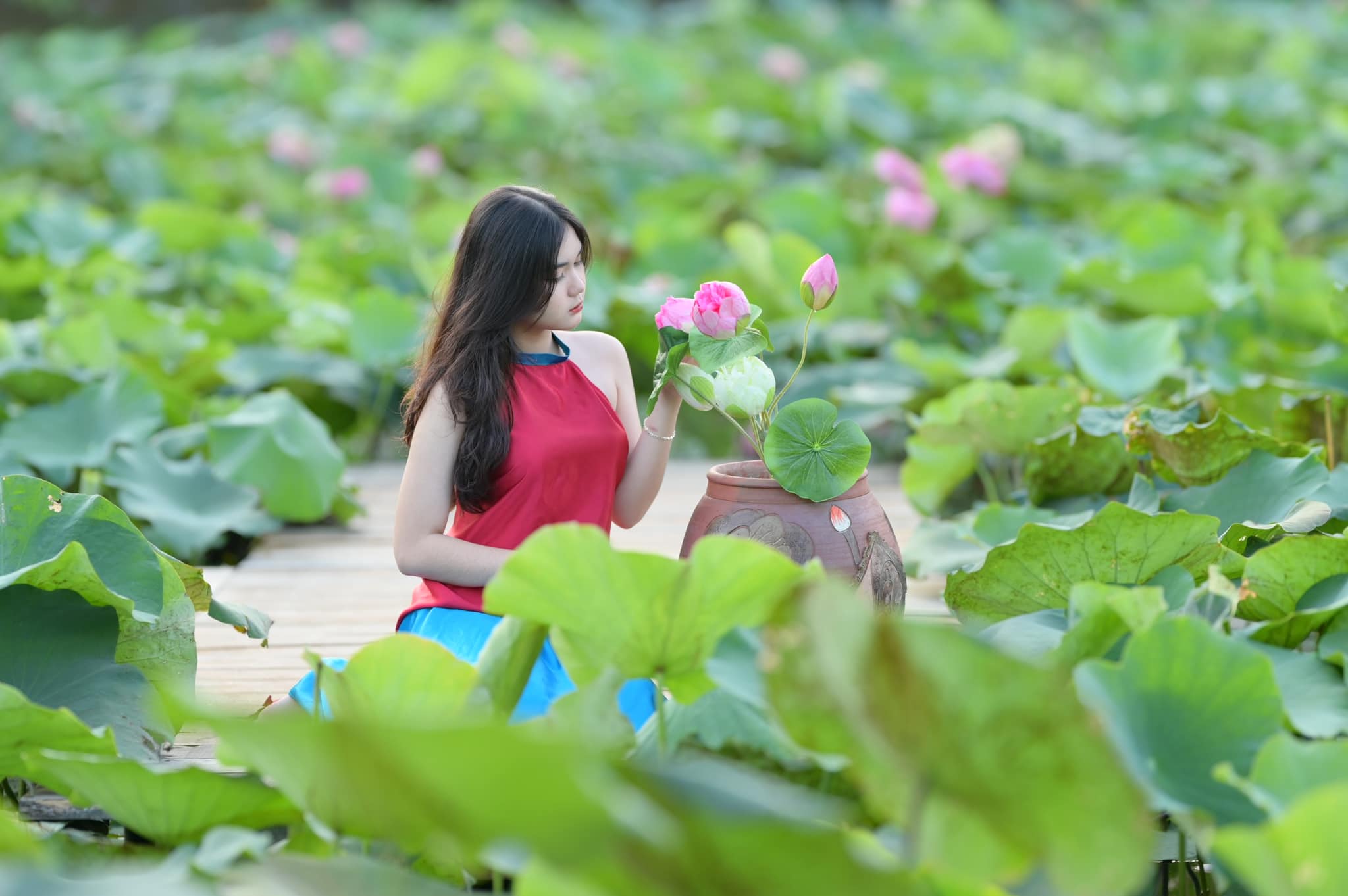 万亭红花园为“虚拟生活”爱好者营造了一幅极其诗意迷人的景象。