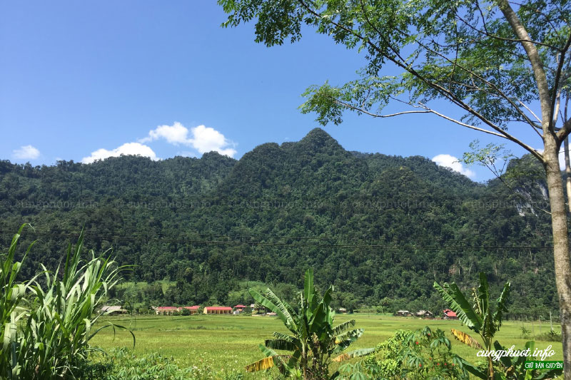 Xuan Son National Park