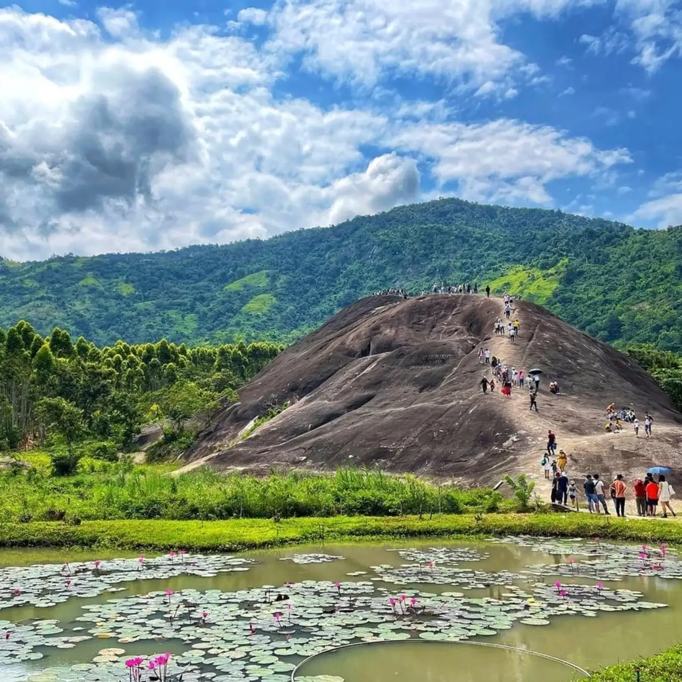 Nếu đã quá chán với thành phố xô bồ và muốn tìm về một nơi yên bình để tận hưởng bầu không khí trong lành thì Núi Đá Voi Mẹ sẽ là một sự lựa chọn hợp lý.