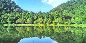 In the middle of the night, a bright 'thousand of stars' suddenly appeared in Cuc Phuong forest