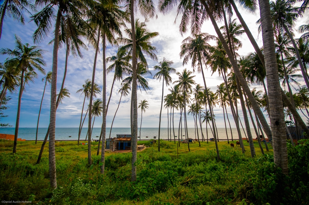 Bai Rang Mui Ne