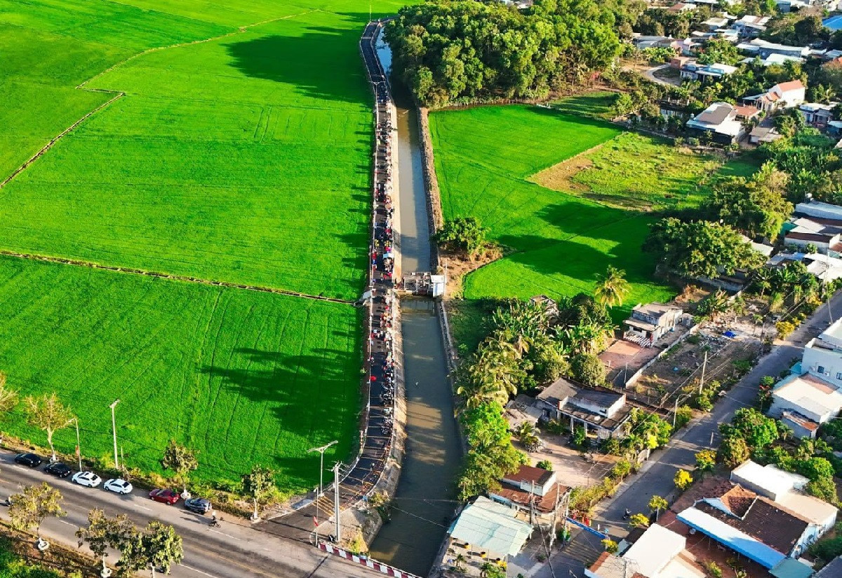 绿色稻田中间的乡村市场出售数百种美味佳肴，每天迎接成千上万的顾客