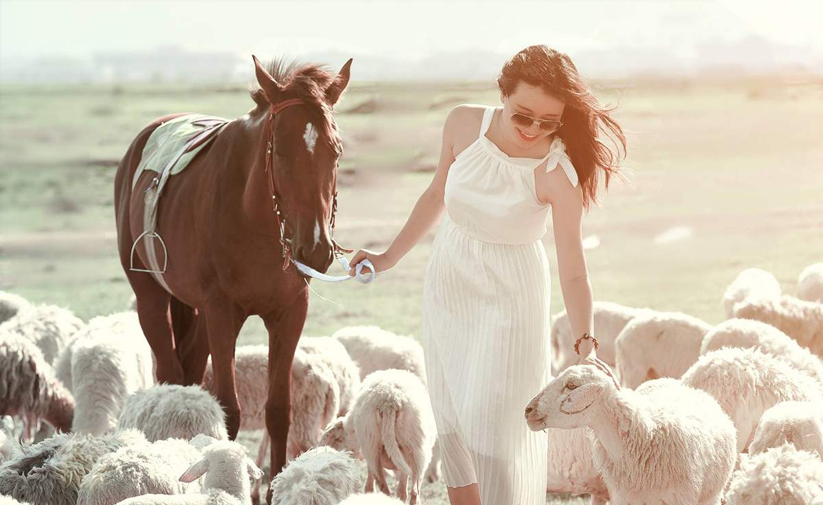 Suoi Nghe Sheep Field