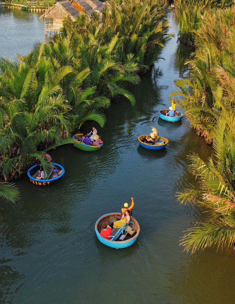 Seven-acre coconut forest