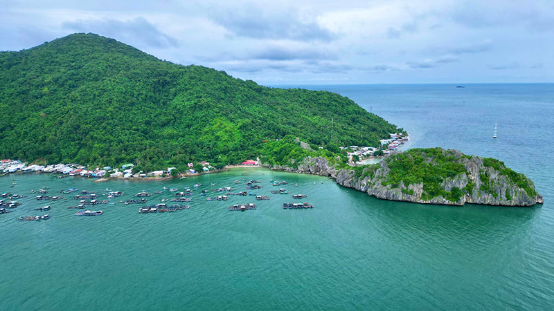 Hon Nghe Island