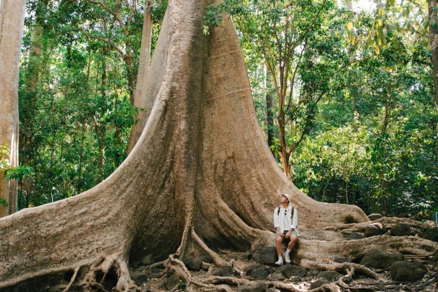 Cat Tien National Park - Explore Nature and Experience “Green Tourism”