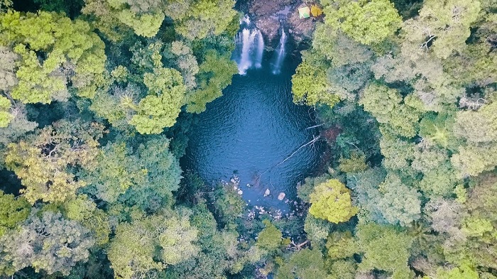 这里有热带森林中的急流、河流、溪流和山脉系统，它们融合在一起，形成了一幅雄伟的自然图画。