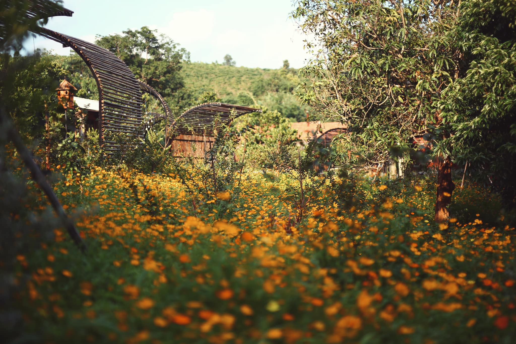 Khu du lịch Năm Mùa Bungalows