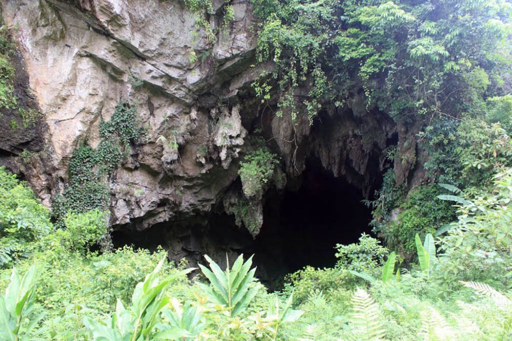 Ham Rong Cave