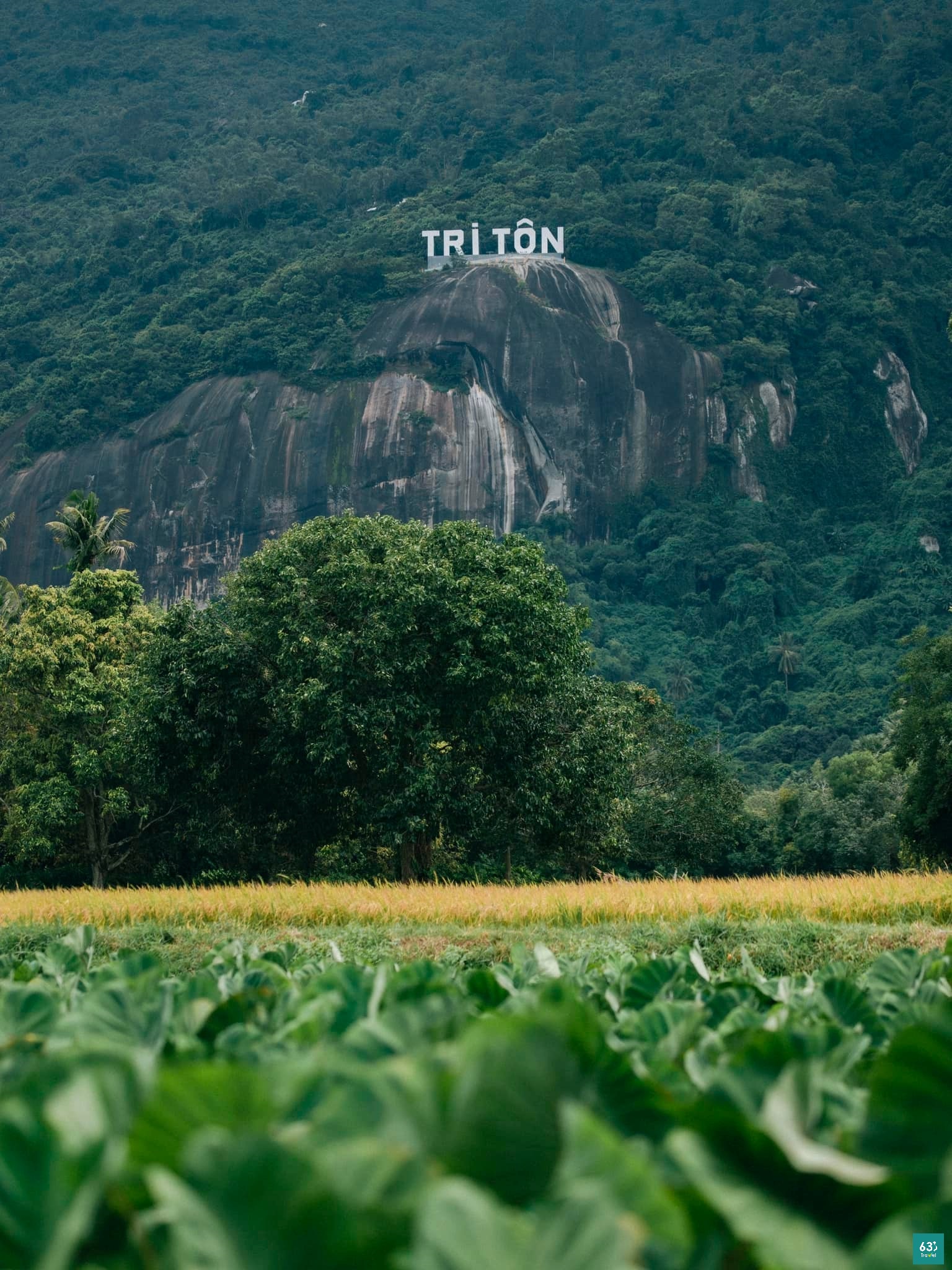 Núi Cô Tô – Săn mây trên đỉnh núi cực đẹp ở An Giang